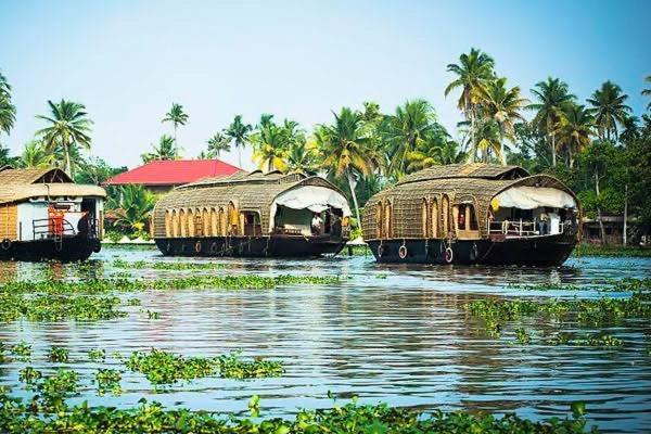 Marari Beach Cleetus Homestay Mararikulam Extérieur photo