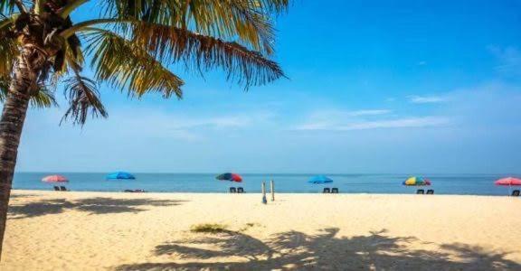 Marari Beach Cleetus Homestay Mararikulam Extérieur photo